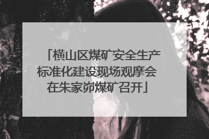 横山区煤矿安全生产标准化建设现场观摩会在朱家峁煤矿召开