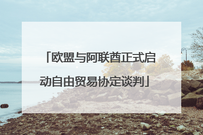 欧盟与阿联酋正式启动自由贸易协定谈判