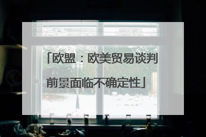 欧盟：欧美贸易谈判前景面临不确定性