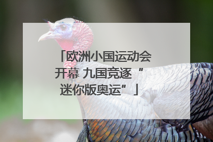 欧洲小国运动会开幕 九国竞逐“迷你版奥运”