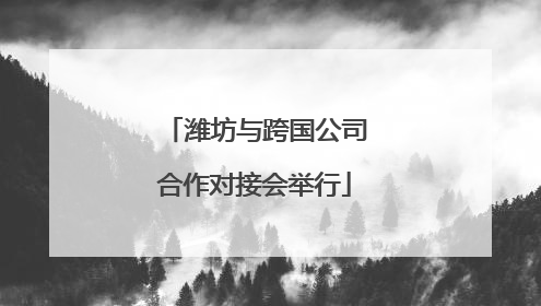 潍坊与跨国公司合作对接会举行
