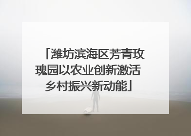 潍坊滨海区芳青玫瑰园以农业创新激活乡村振兴新动能