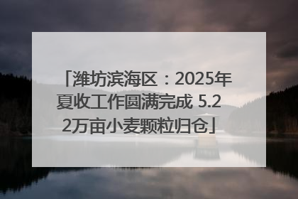 潍坊滨海区：2025年夏收工作圆满完成 5.22万亩小麦颗粒归仓
