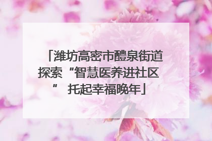 潍坊高密市醴泉街道探索“智慧医养进社区” 托起幸福晚年