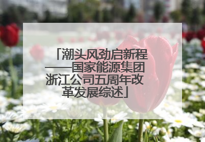 潮头风劲启新程——国家能源集团浙江公司五周年改革发展综述
