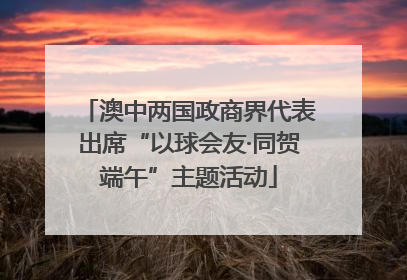 澳中两国政商界代表出席“以球会友·同贺端午”主题活动