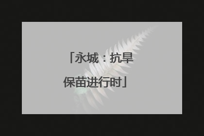 永城：抗旱保苗进行时