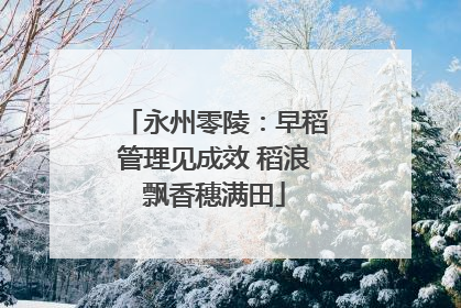 永州零陵：早稻管理见成效 稻浪飘香穗满田