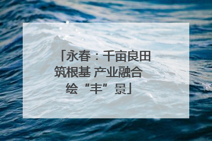 永春：千亩良田筑根基 产业融合绘“丰”景