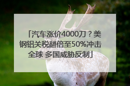 汽车涨价4000刀？美钢铝关税翻倍至50%冲击全球 多国威胁反制