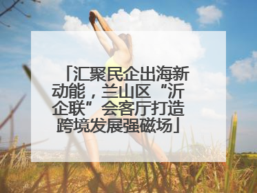 汇聚民企出海新动能，兰山区“沂企联”会客厅打造跨境发展强磁场