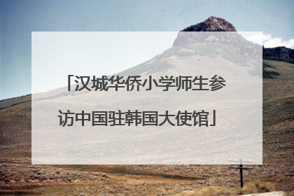 汉城华侨小学师生参访中国驻韩国大使馆