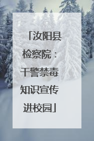 汝阳县检察院：干警禁毒知识宣传进校园