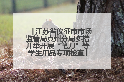江苏省仪征市市场监管局真州分局多措并举开展“笔刀”等学生用品专项检查