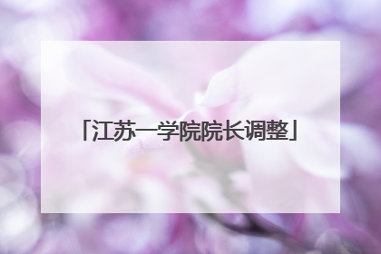 江苏一学院院长调整