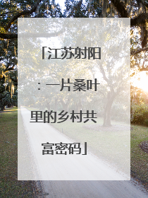 江苏射阳：一片桑叶里的乡村共富密码