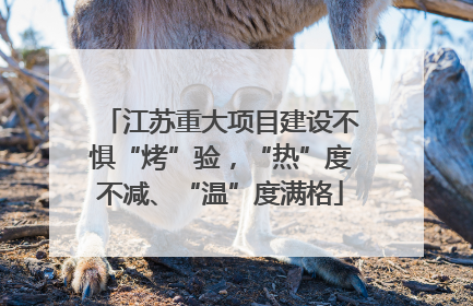 江苏重大项目建设不惧“烤”验，“热”度不减、“温”度满格