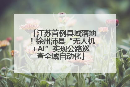 江苏首例县域落地！徐州沛县“无人机+AI”实现公路巡查全域自动化