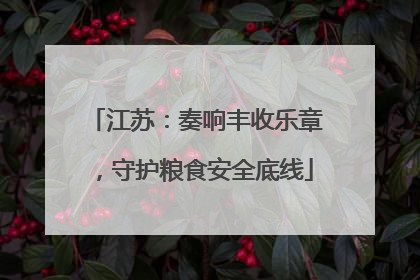 江苏：奏响丰收乐章，守护粮食安全底线