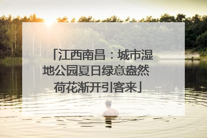 江西南昌：城市湿地公园夏日绿意盎然 荷花渐开引客来