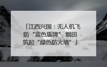 江西兴国：无人机飞防“蓝色盾牌” 烟田筑起“绿色防火墙”