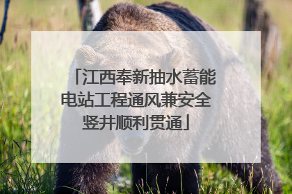 江西奉新抽水蓄能电站工程通风兼安全竖井顺利贯通