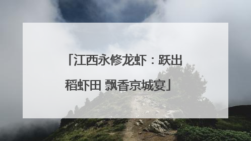 江西永修龙虾：跃出稻虾田 飘香京城宴