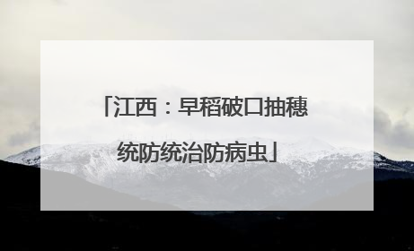 江西：早稻破口抽穗 统防统治防病虫