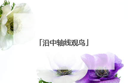 沿中轴线观鸟