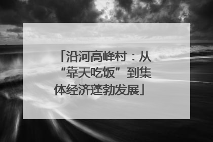 沿河高峰村：从“靠天吃饭”到集体经济蓬勃发展