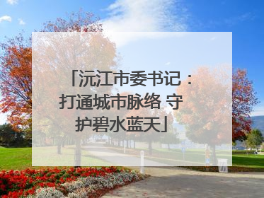 沅江市委书记：打通城市脉络 守护碧水蓝天