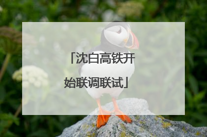 沈白高铁开始联调联试
