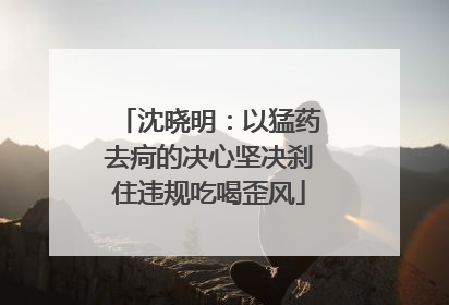 沈晓明：以猛药去疴的决心坚决刹住违规吃喝歪风