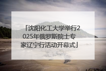 沈阳化工大学举行2025年俄罗斯院士专家辽宁行活动开幕式