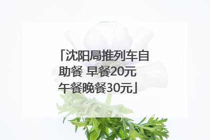 沈阳局推列车自助餐 早餐20元午餐晚餐30元