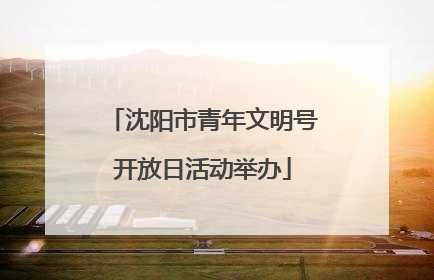 沈阳市青年文明号开放日活动举办
