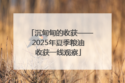 沉甸甸的收获——2025年夏季粮油收获一线观察