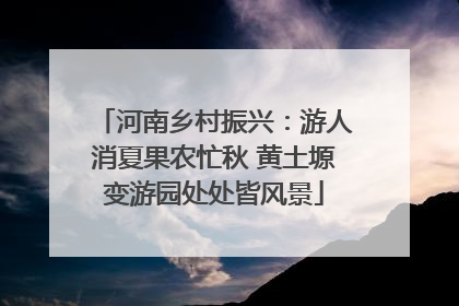 河南乡村振兴：游人消夏果农忙秋 黄土塬变游园处处皆风景