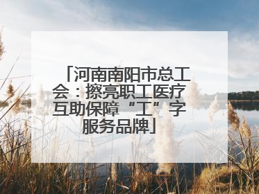 河南南阳市总工会：擦亮职工医疗互助保障“工”字服务品牌