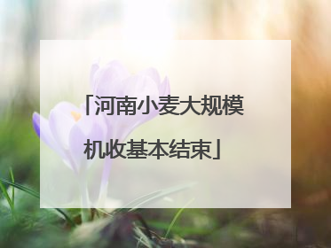 河南小麦大规模机收基本结束