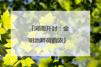 河南开封：金明池畔荷韵浓