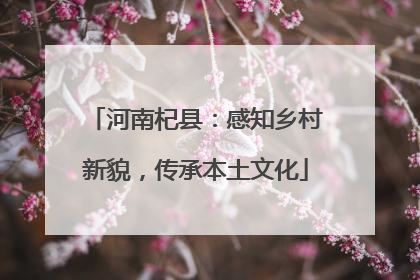 河南杞县：感知乡村新貌，传承本土文化