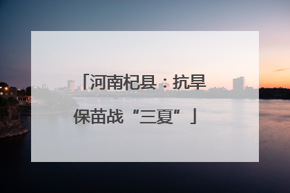 河南杞县：抗旱保苗战“三夏”