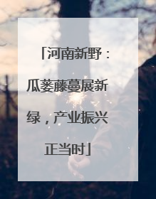 河南新野：瓜蒌藤蔓展新绿，产业振兴正当时