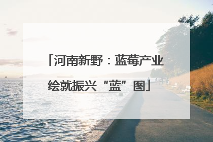 河南新野：蓝莓产业绘就振兴“蓝”图