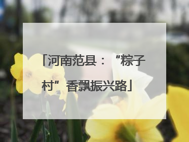 河南范县：“粽子村”香飘振兴路