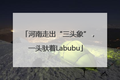 河南走出“三头象”，一头驮着Labubu