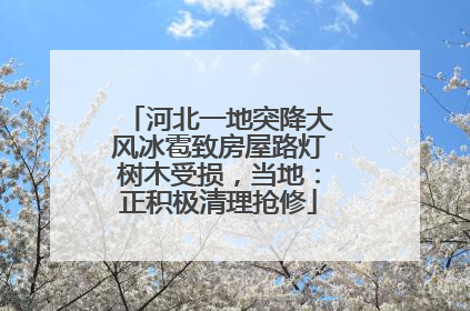 河北一地突降大风冰雹致房屋路灯树木受损，当地：正积极清理抢修