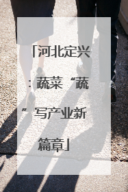 河北定兴：蔬菜“蔬”写产业新篇章