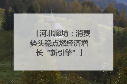 河北廊坊：消费势头稳点燃经济增长“新引擎”